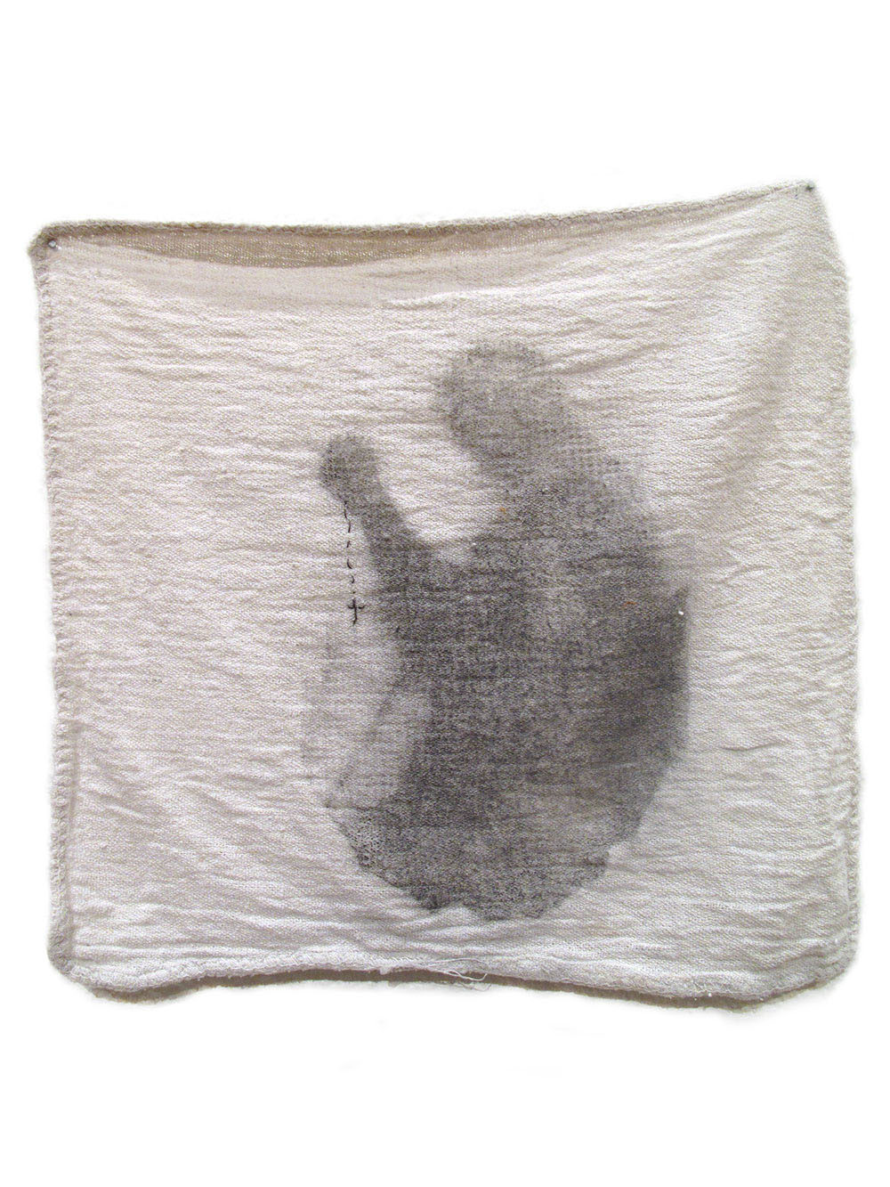 Shop Rags image