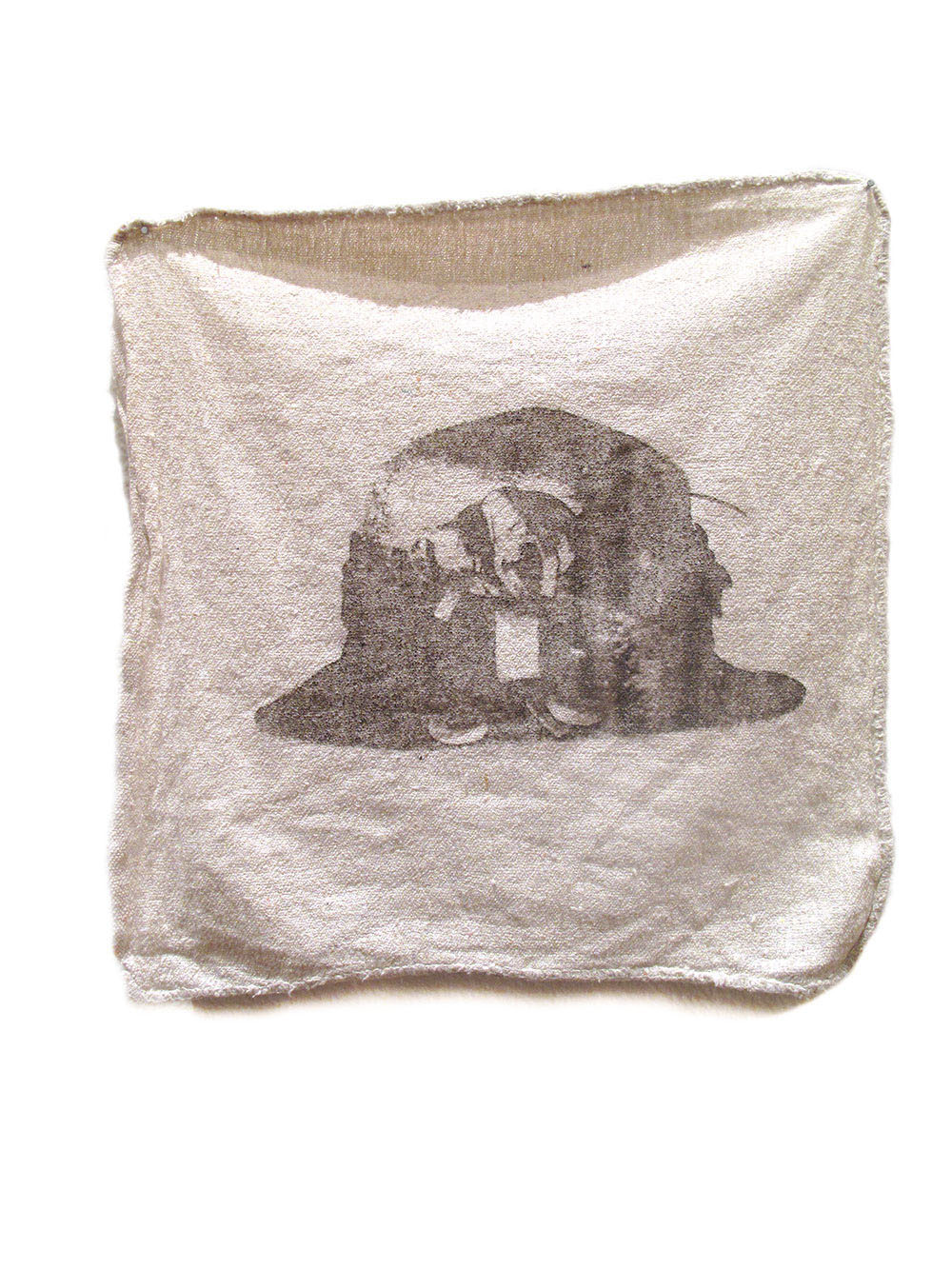 Shop Rags image