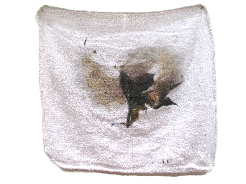 Shop Rags image