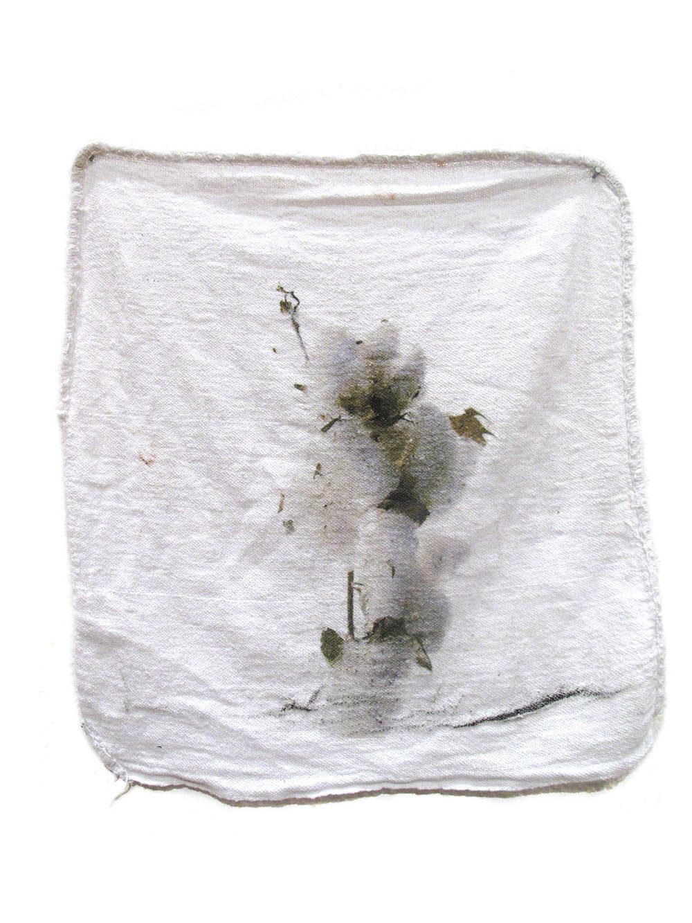 Shop Rags image