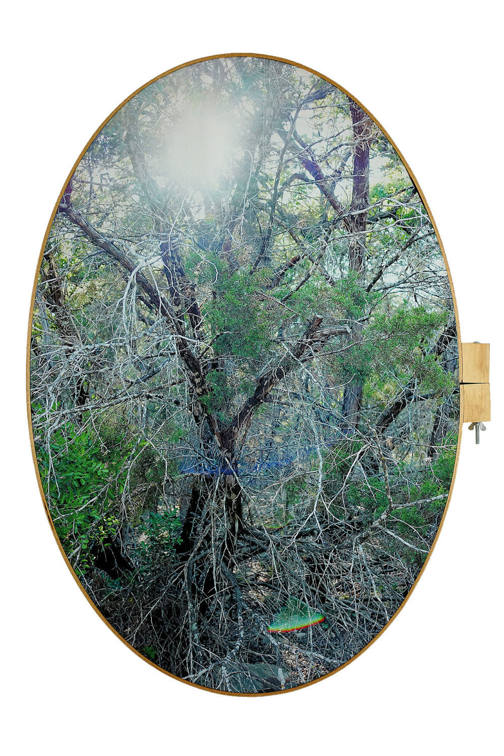 Beautiful Blackness image