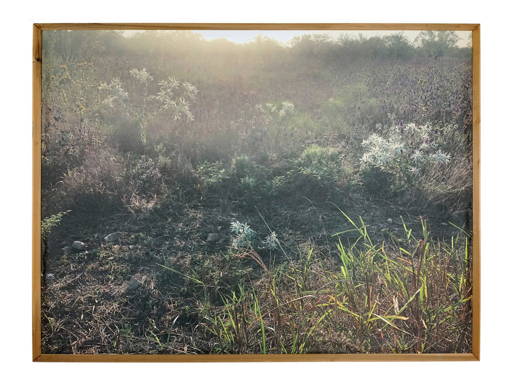 Beautiful Blackness image