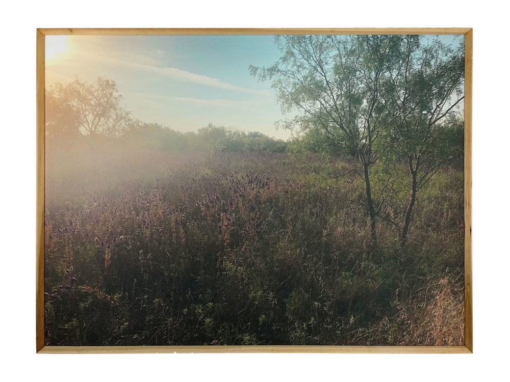 Beautiful Blackness image