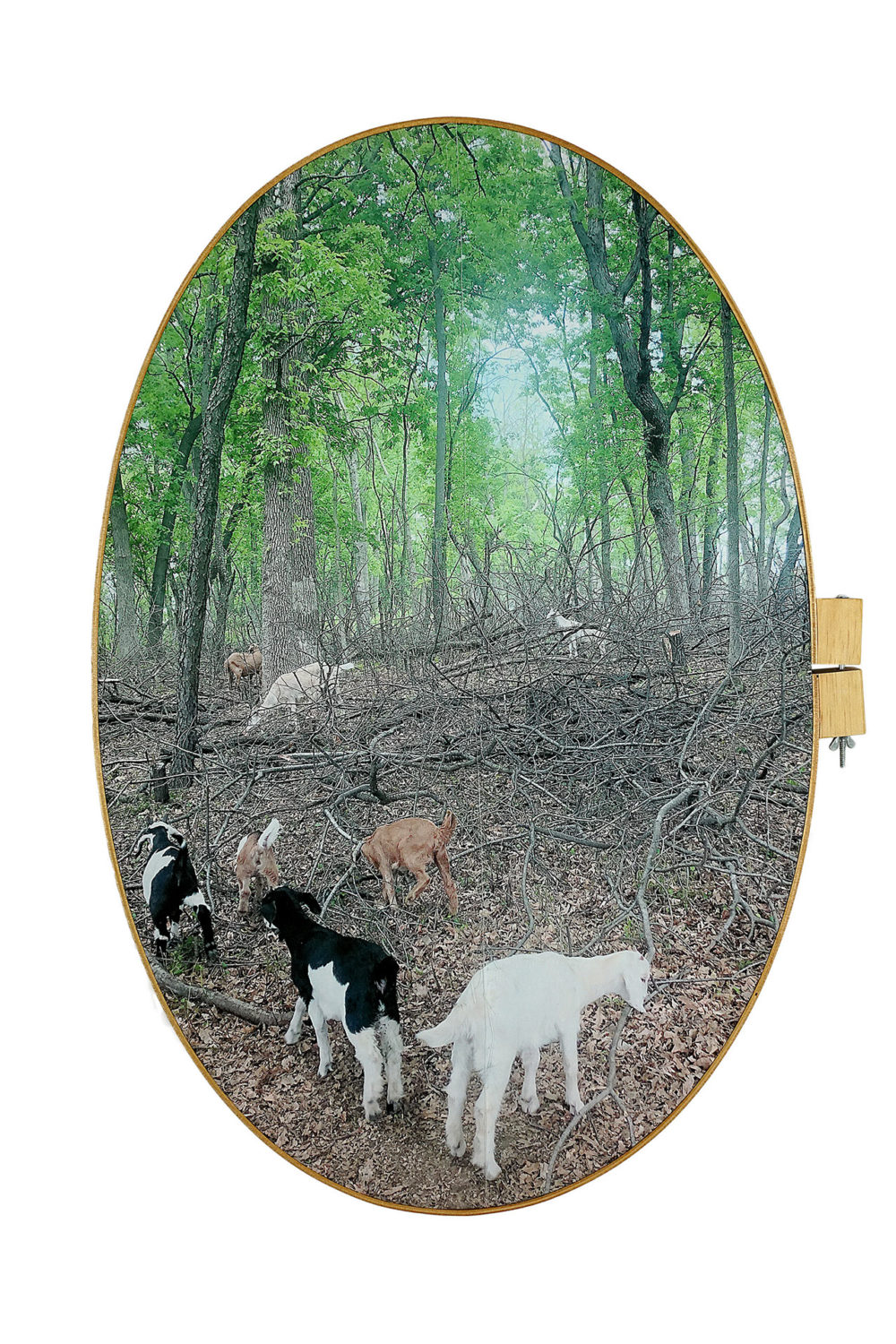 Beautiful Blackness image