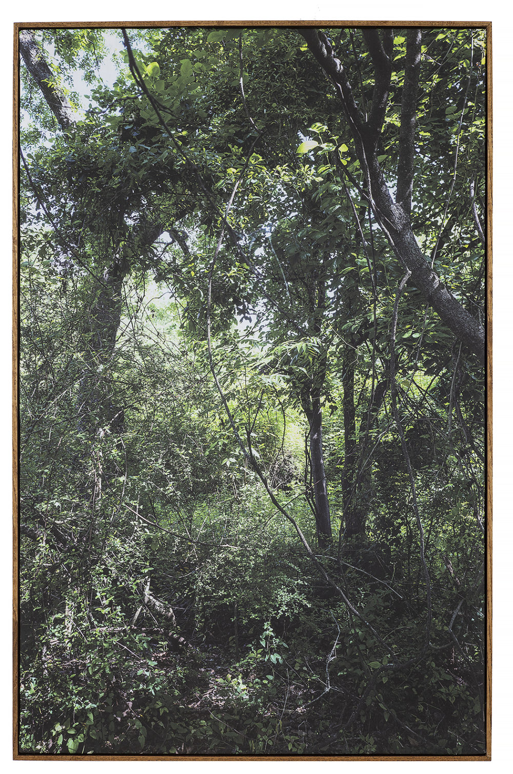 Bitter Waters Sweet image