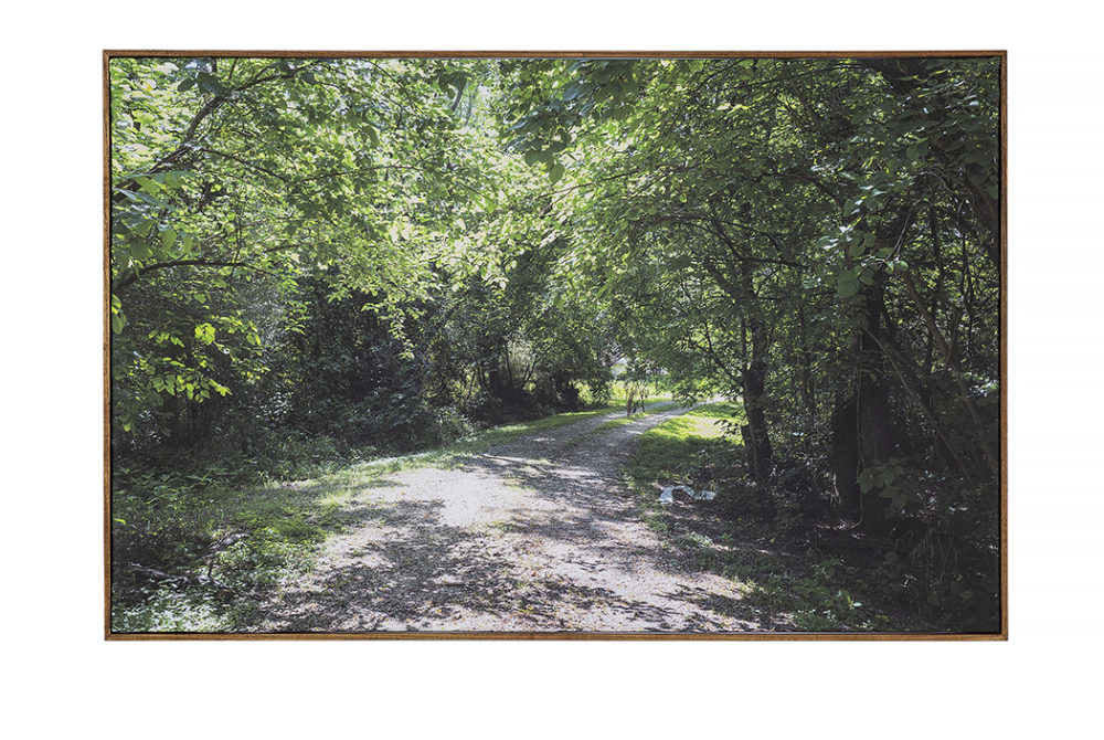 Bitter Waters Sweet image