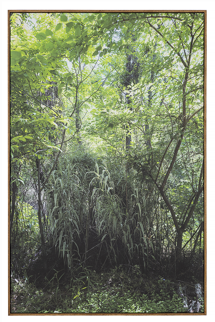 Bitter Waters Sweet image