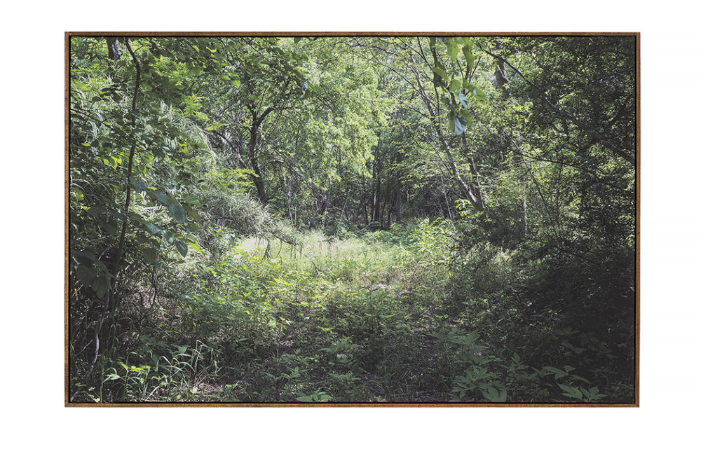 Bitter Waters Sweet image