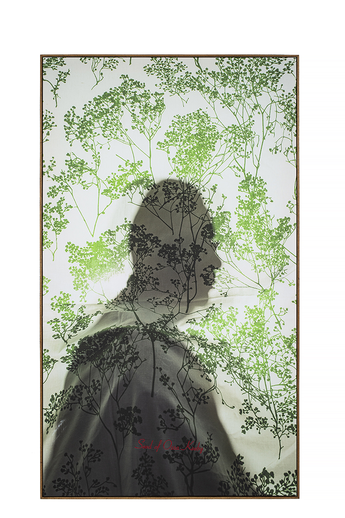 Bitter Waters Sweet image