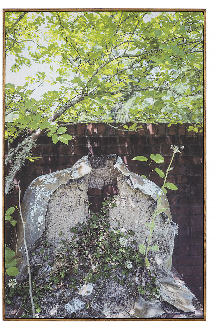 Bitter Waters Sweet image