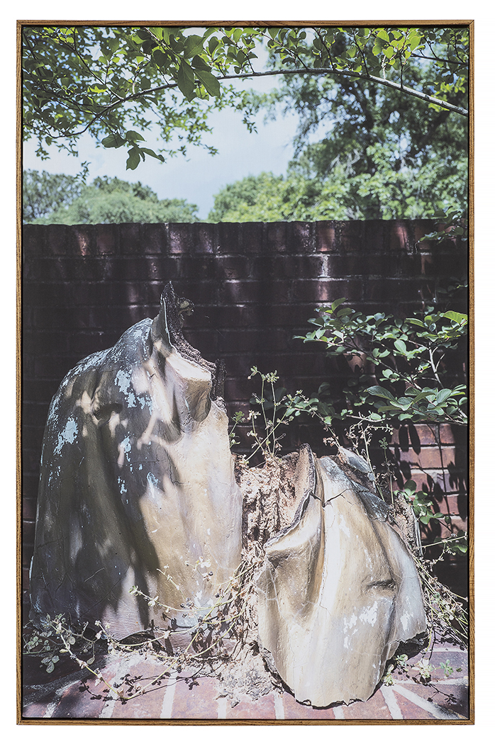 Bitter Waters Sweet image