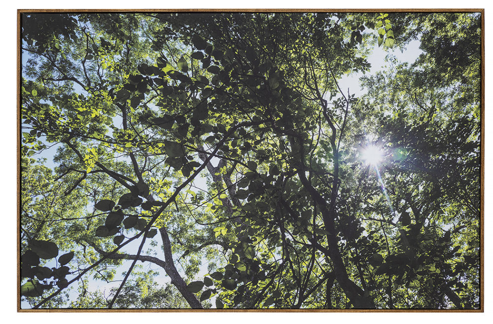 Bitter Waters Sweet image