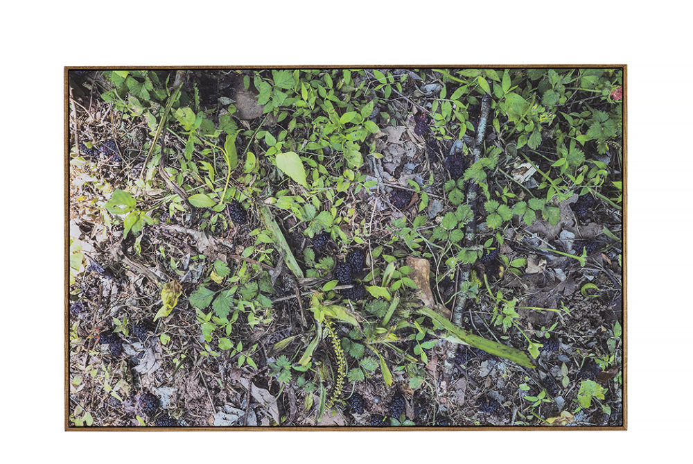 Bitter Waters Sweet image